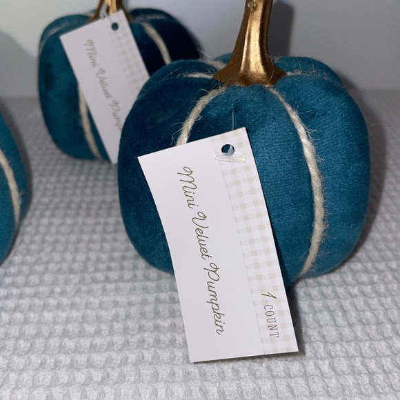 Mini velvet pumpkins - set of 4- target bullseye playground - Picture 4 of 7